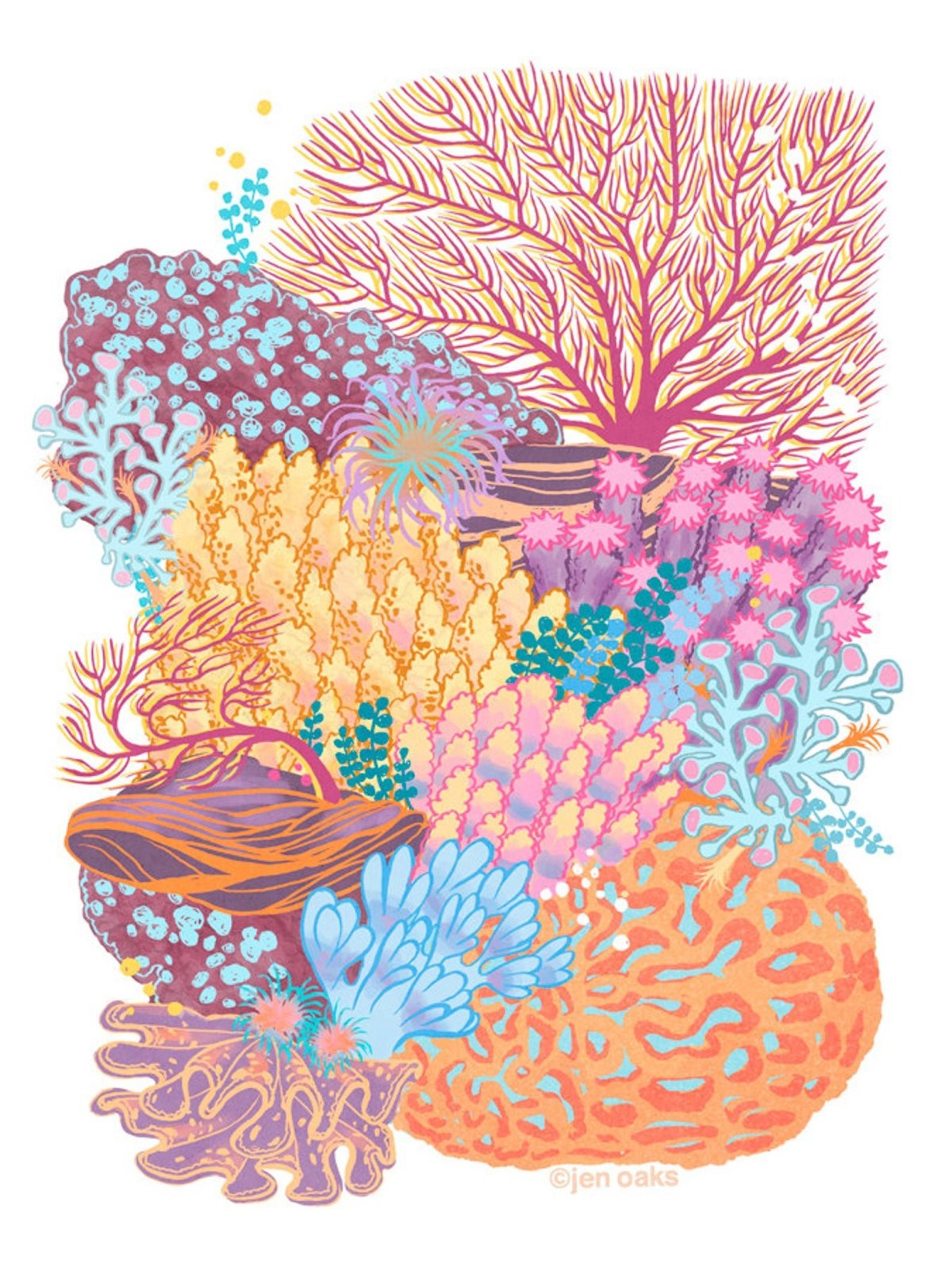 Кораллы скетч