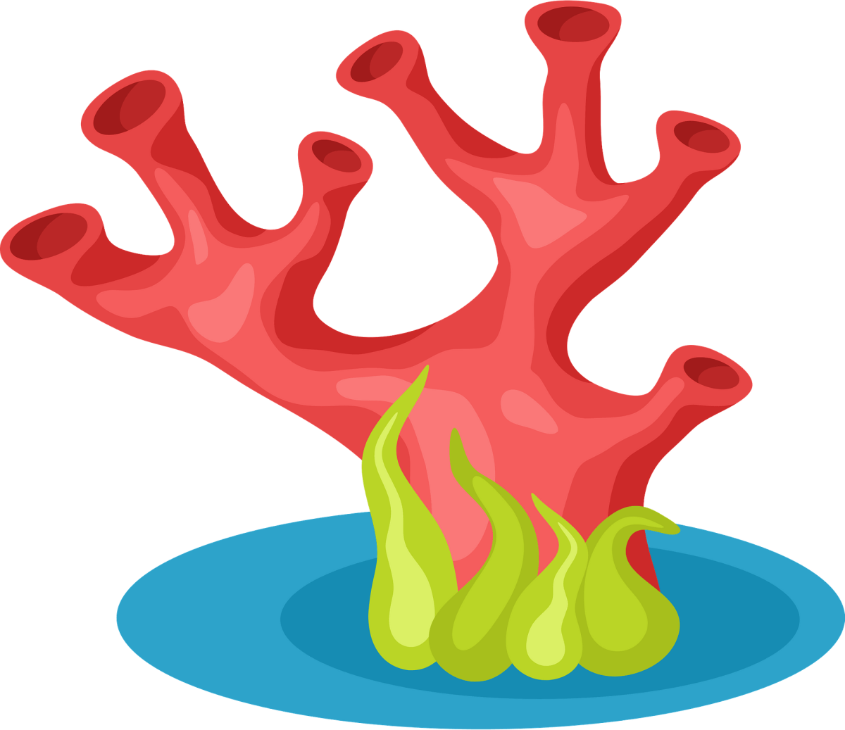 Кораллы рисунок