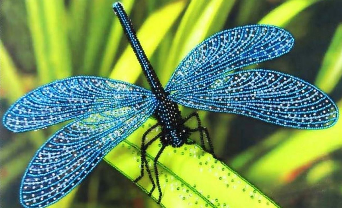 Стрекоза красивая