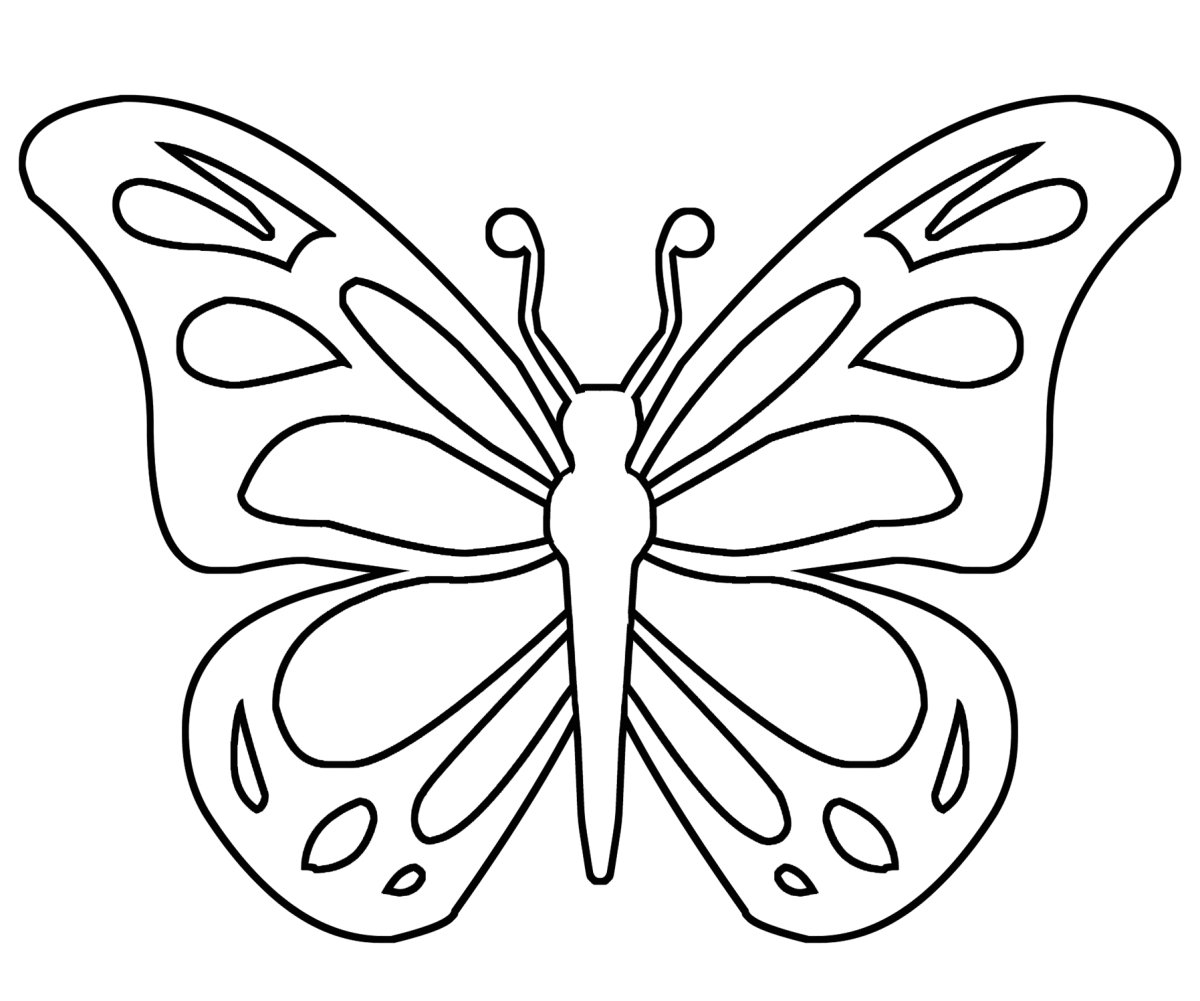 Раскраска Новогодняя бабочка