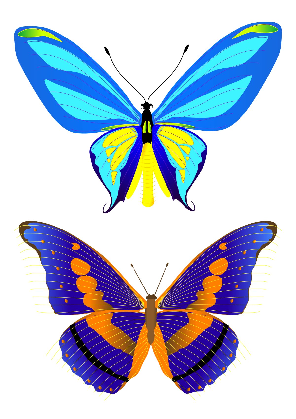 Бабочка раскраска для детей