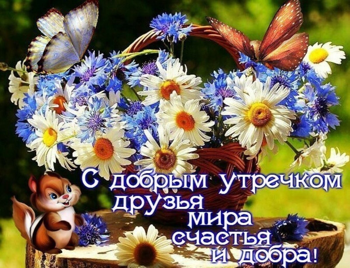Доброе утро друзья