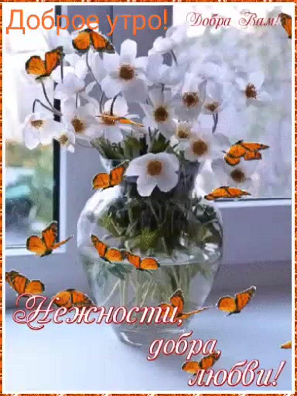 Теплого и доброго вам дня