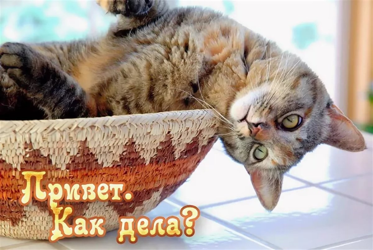 Девушка с чувством юмора