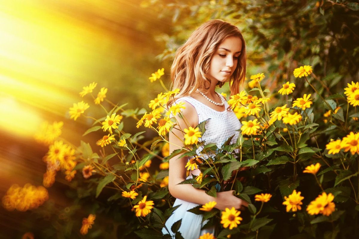 Солнечные цветы макро