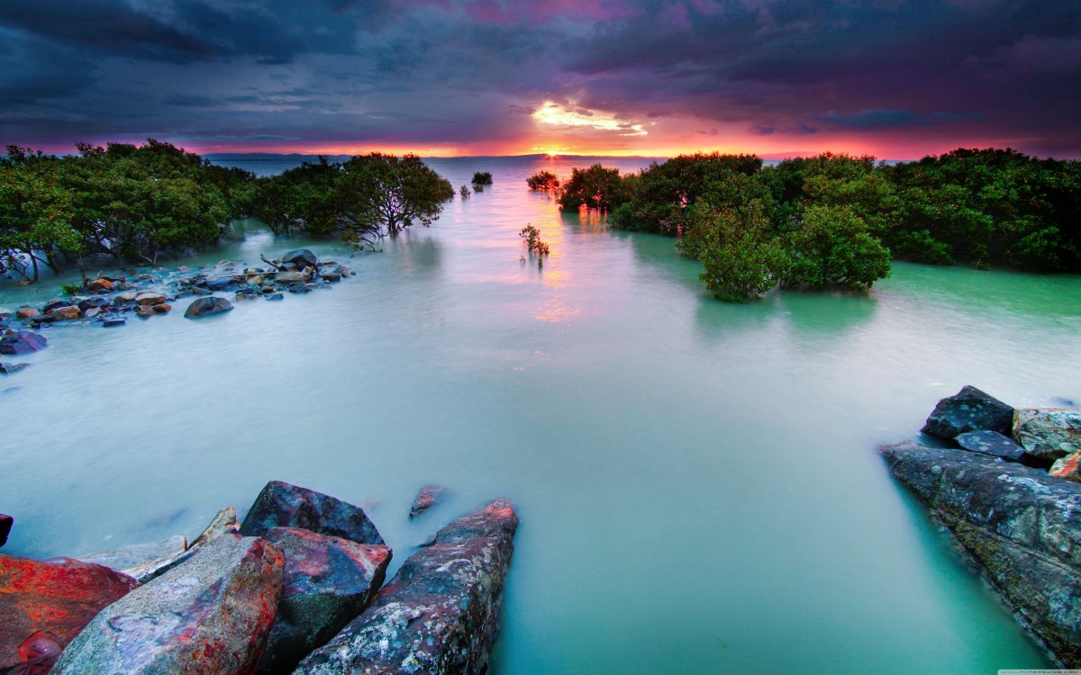 Природа озеро