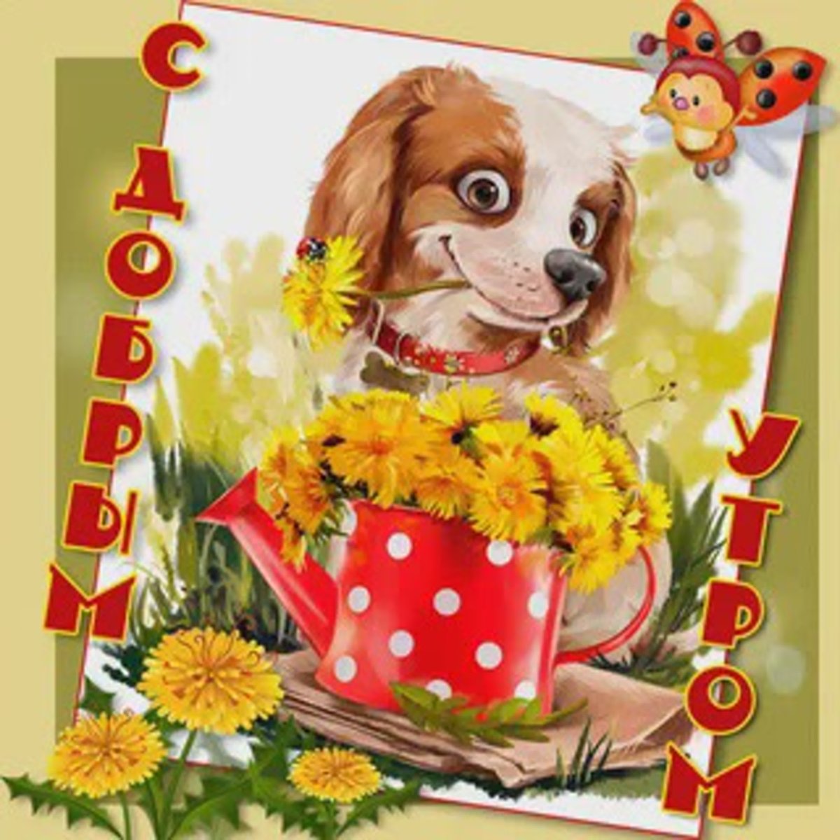 Открытки со зверюшками