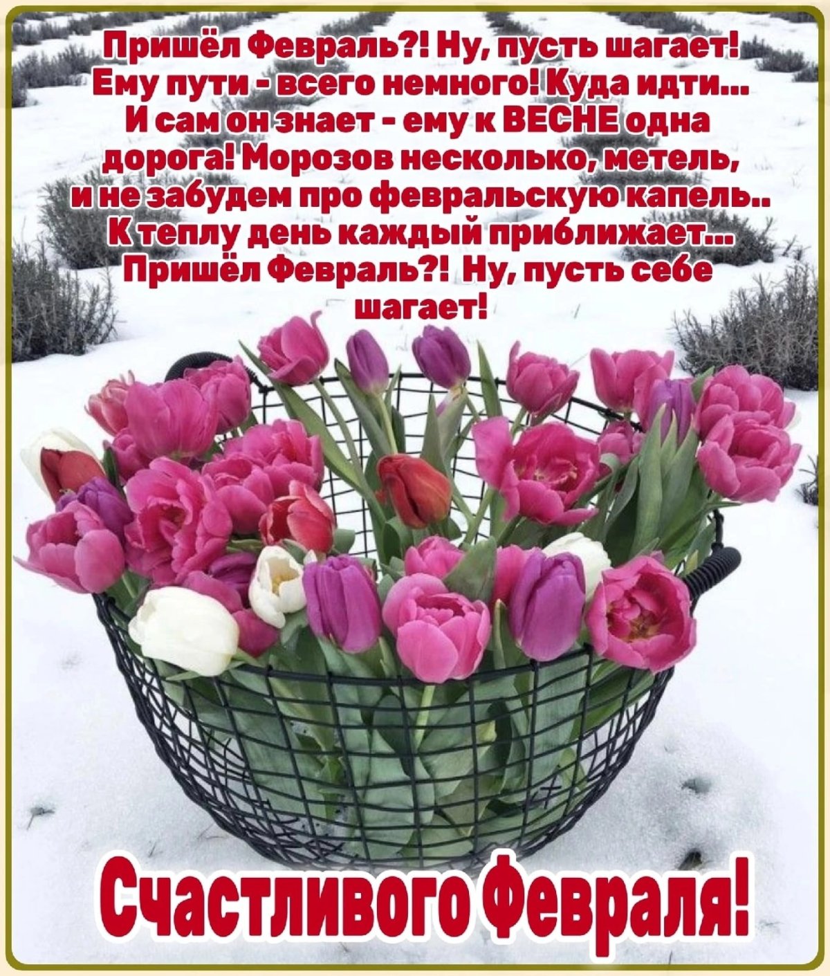 Доброе утро зима