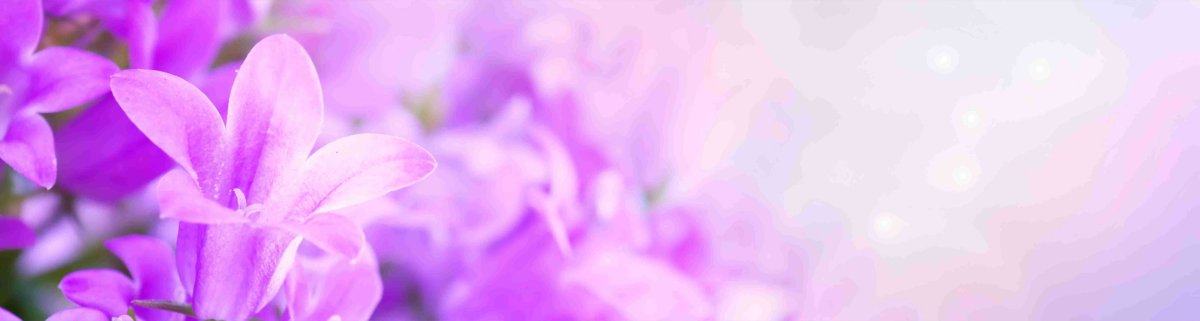 Фон цветы нежные