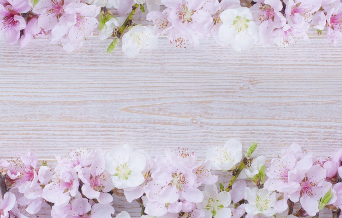 Красивый фон в пастельных тонах