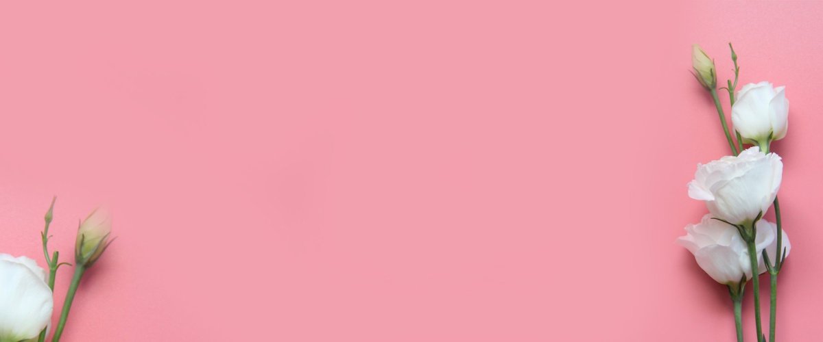 Розовый космос