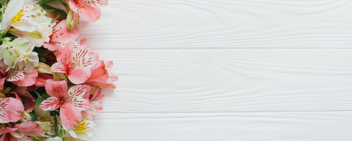 Розовые цветы Минимализм