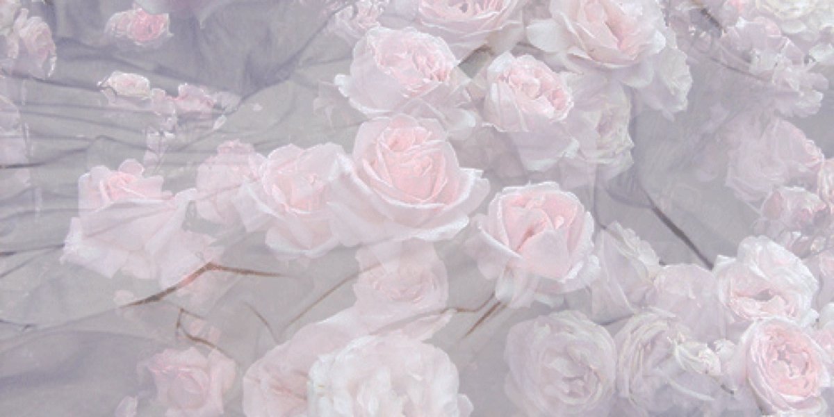 Красивый фон с пером