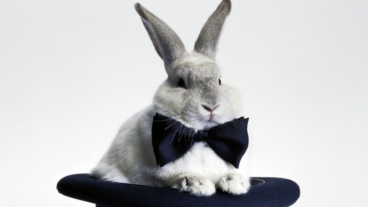 Хитрый кролик