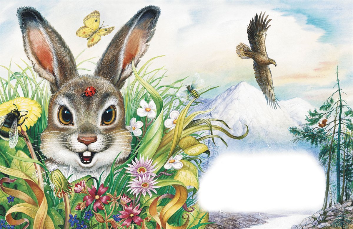 Заяц всезнаец Бианки