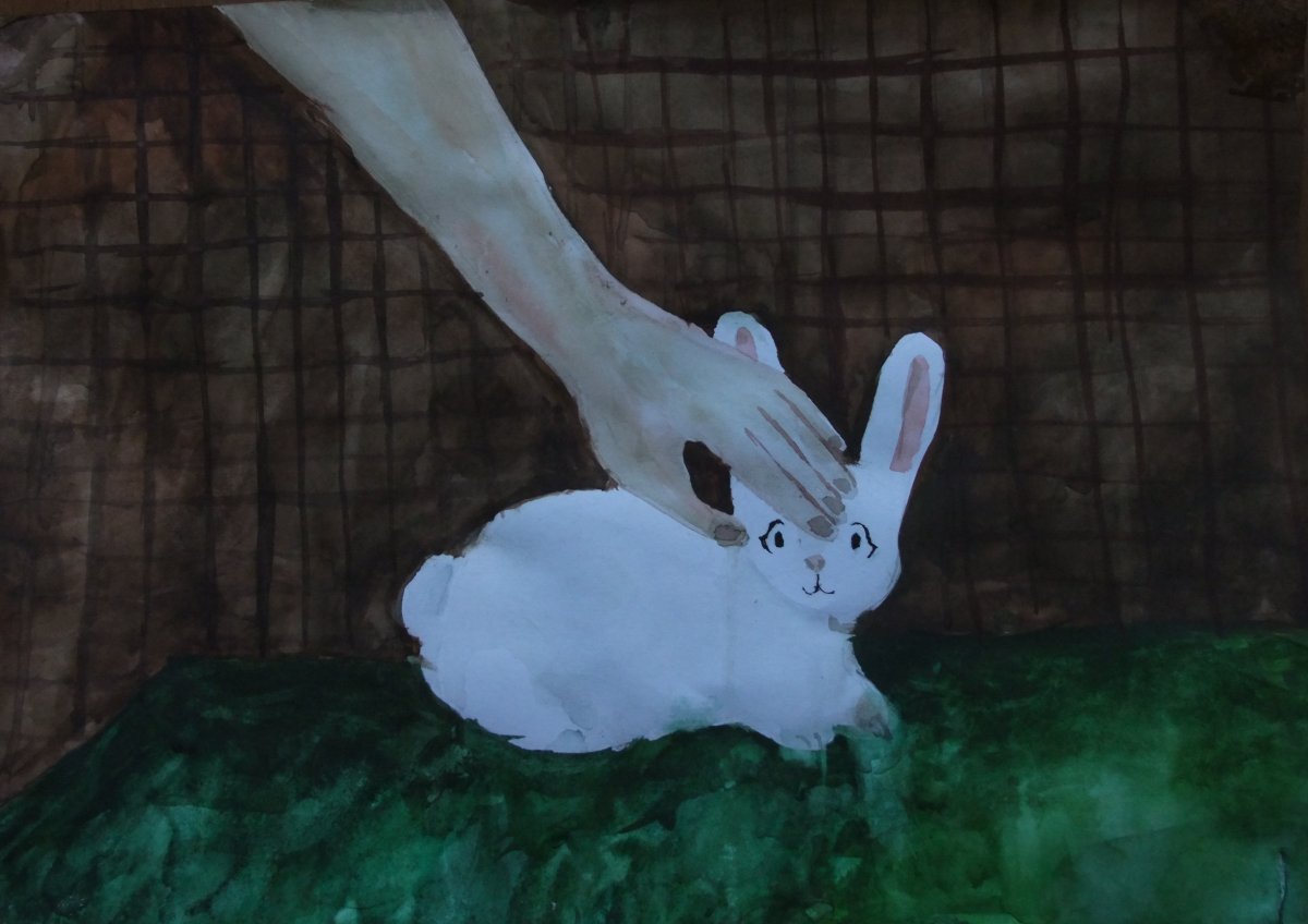 Заяц Беляк картинка для детей