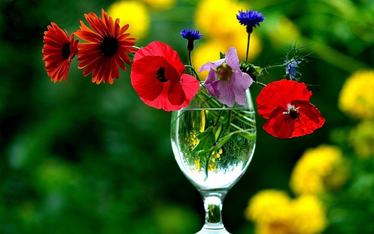 Чудесные цветы