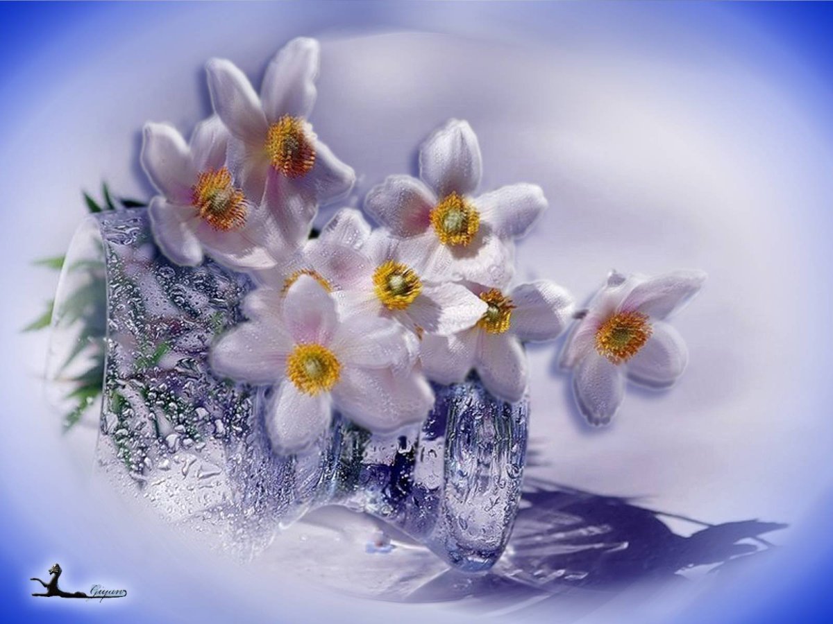 Весеннее настроение цветы