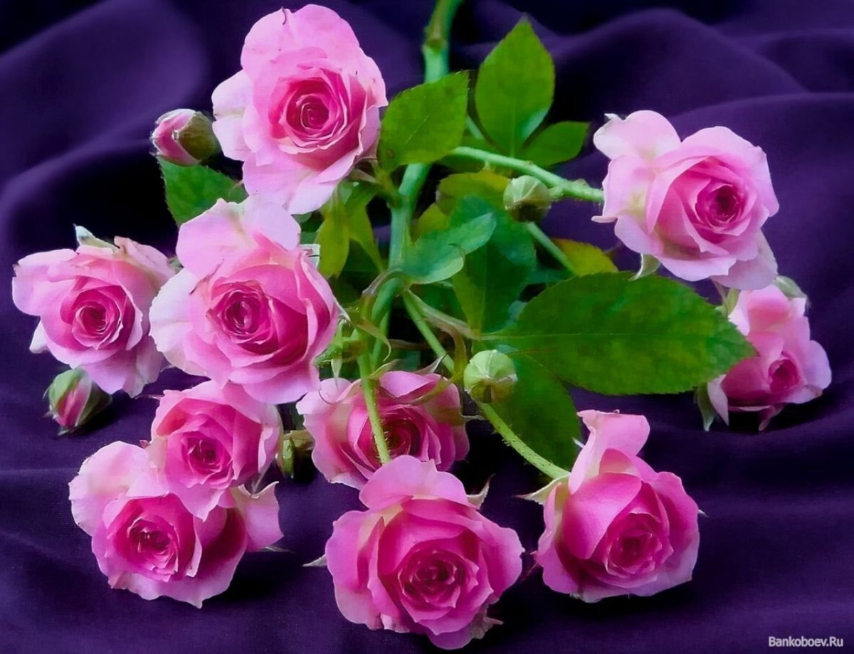 Открытки с цветами