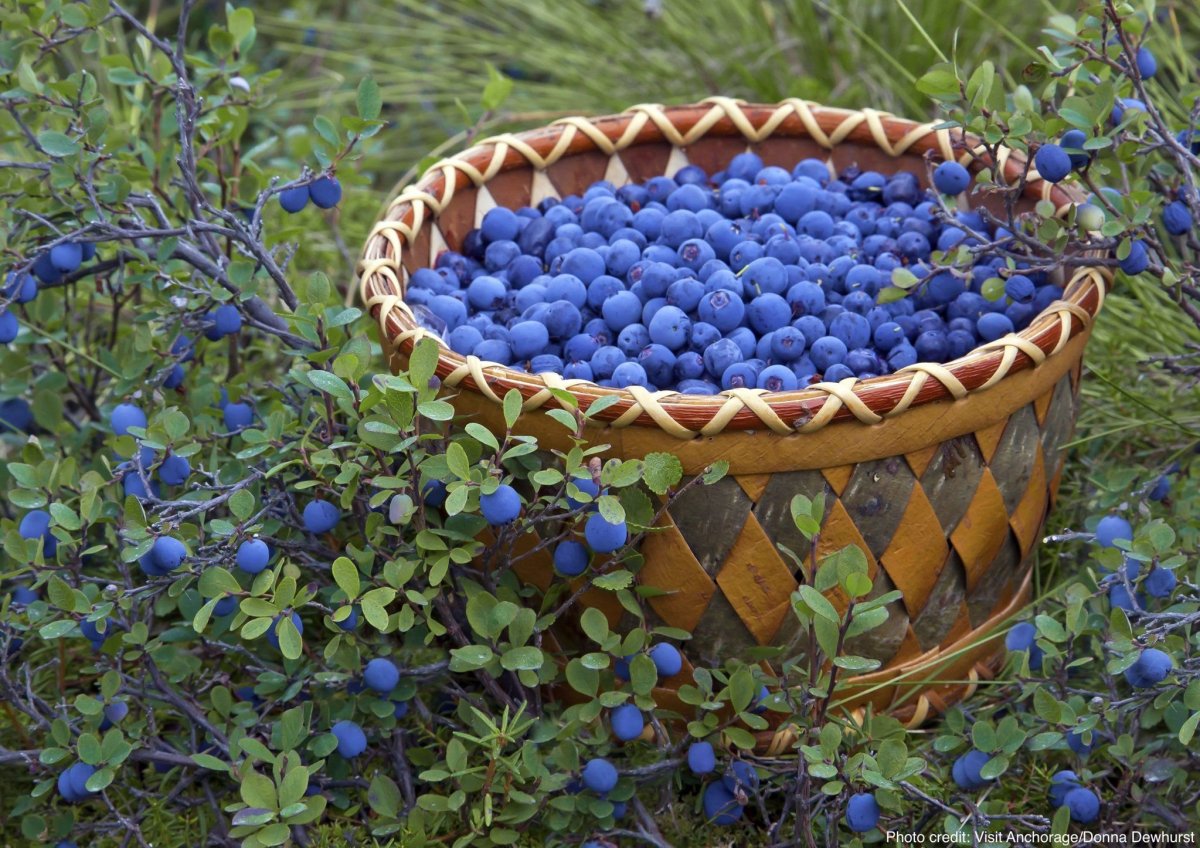 Голубика в корзине