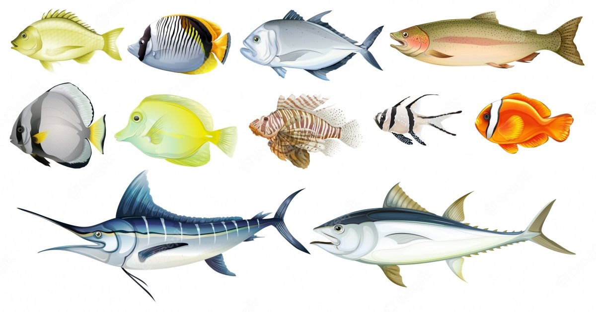 Рыбы для детей с названиями