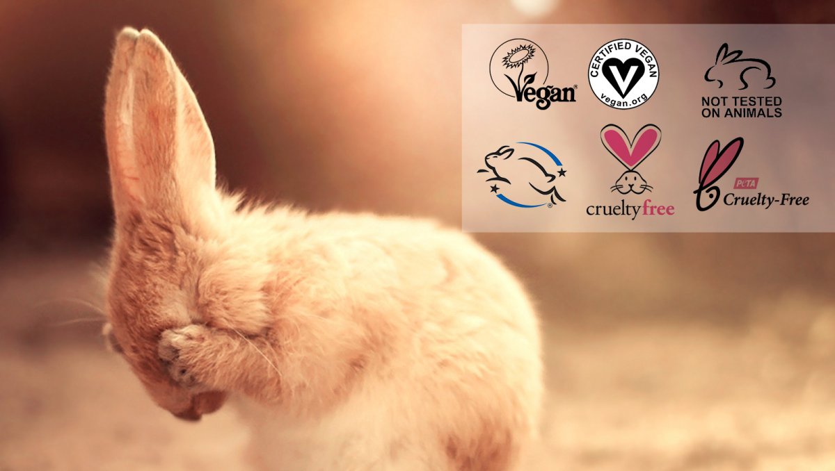 Кролик Питер иллюстрации Беатрис Поттер