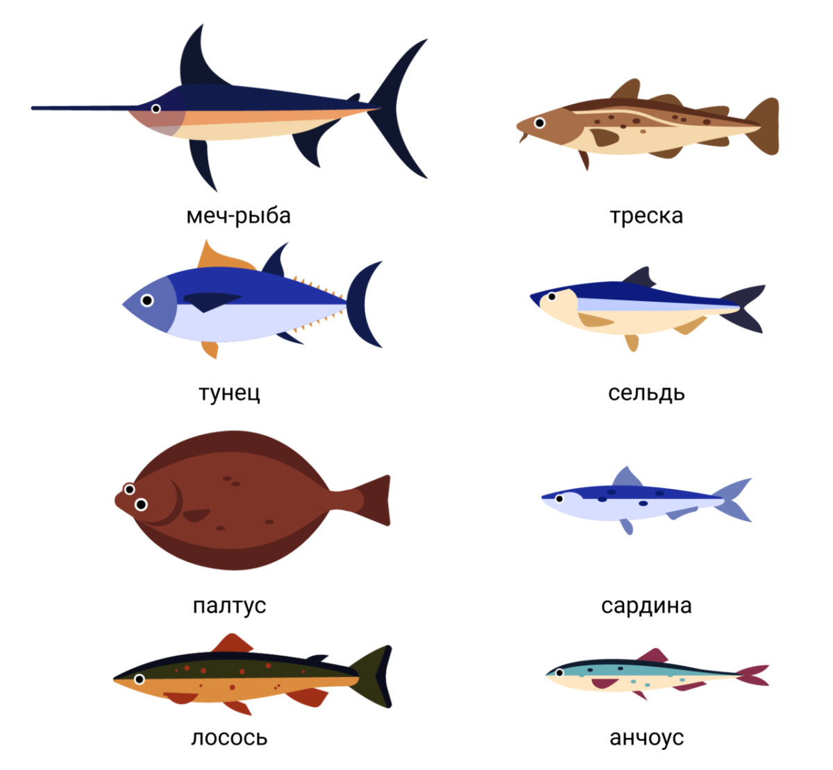 Морская рыба названия. Разновидности рыб морских. Океанские промысловые рыбы. Название всех морских рыб.