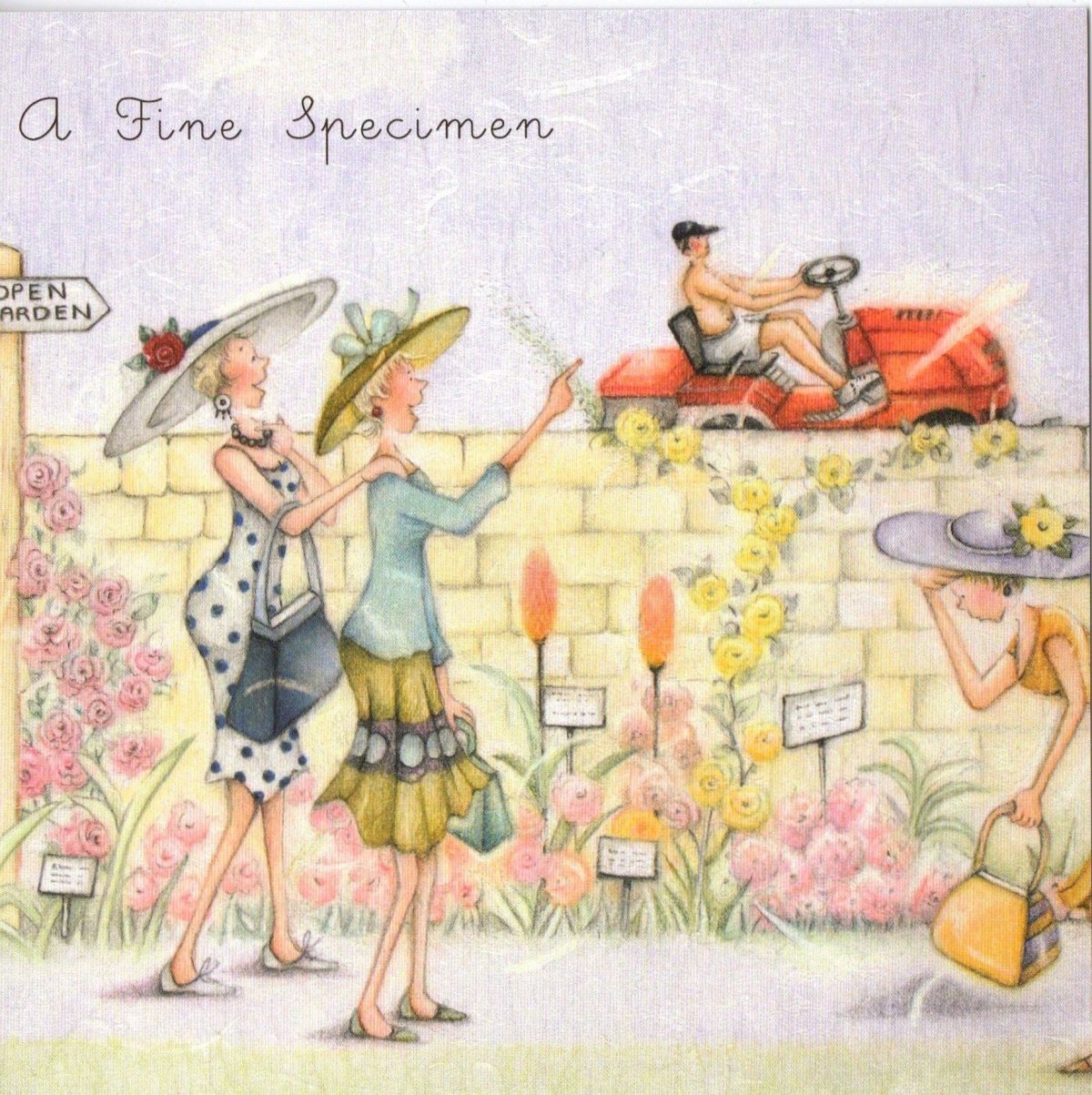 Подруги картинки