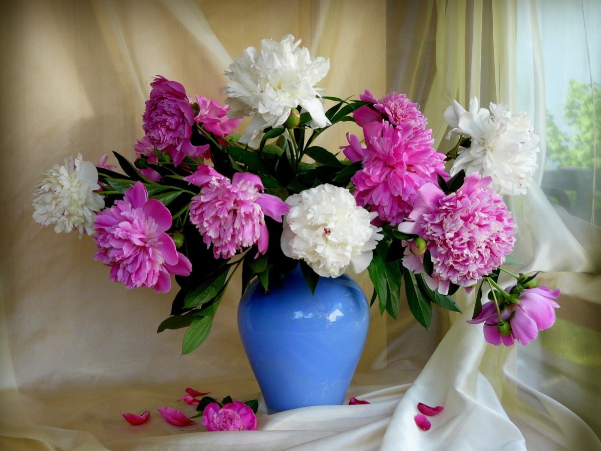 Пионы в вазе