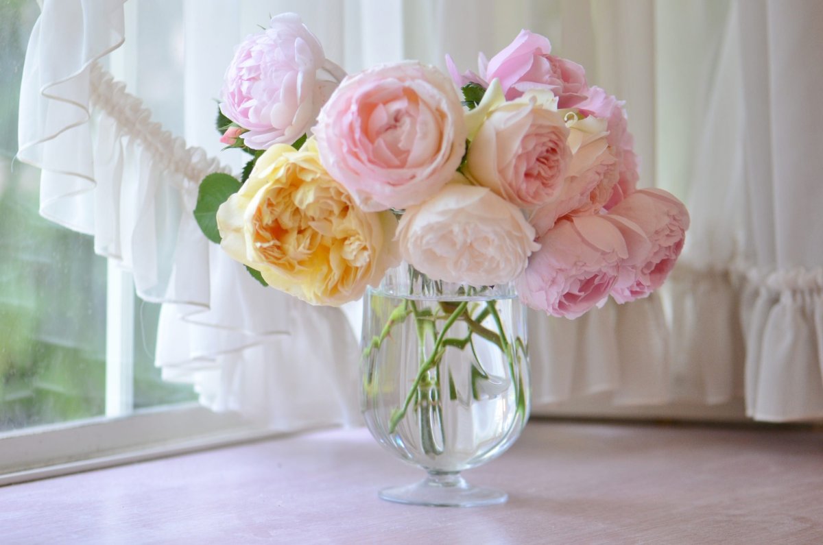 Пионы в вазе