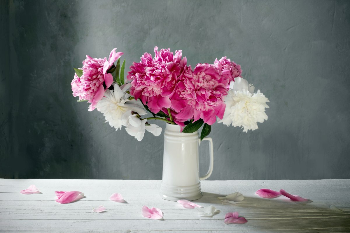 Розовые пионы в вазе