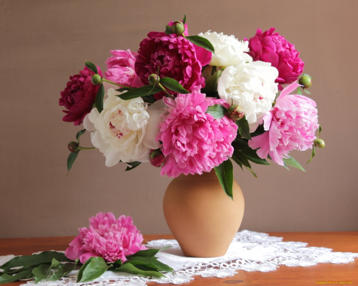 Цветок пиона Врубель