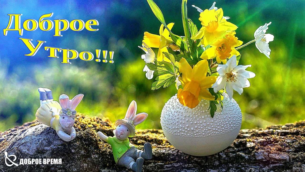 Красивое утро