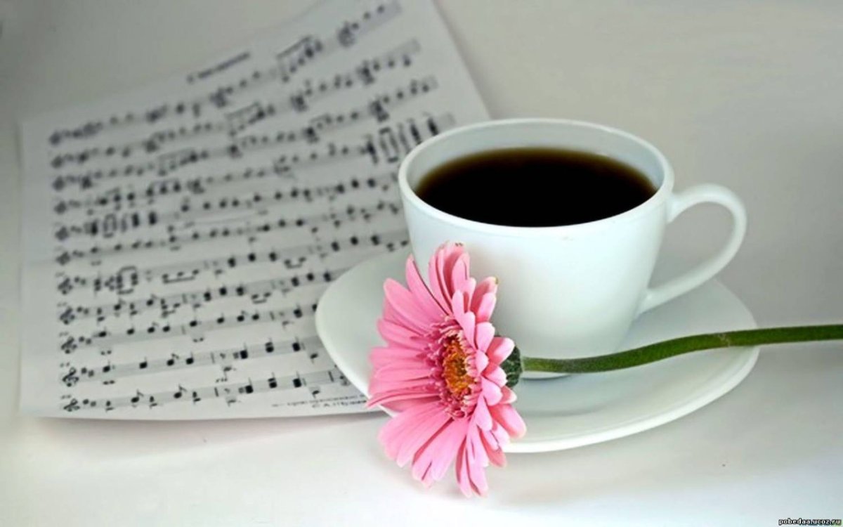 Хорошего дня с нотками