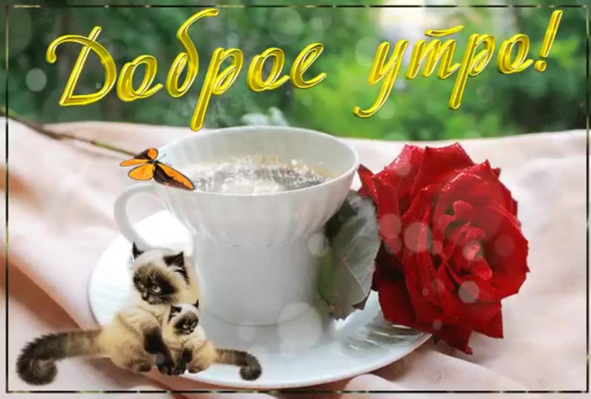 Гифы с добрым утром