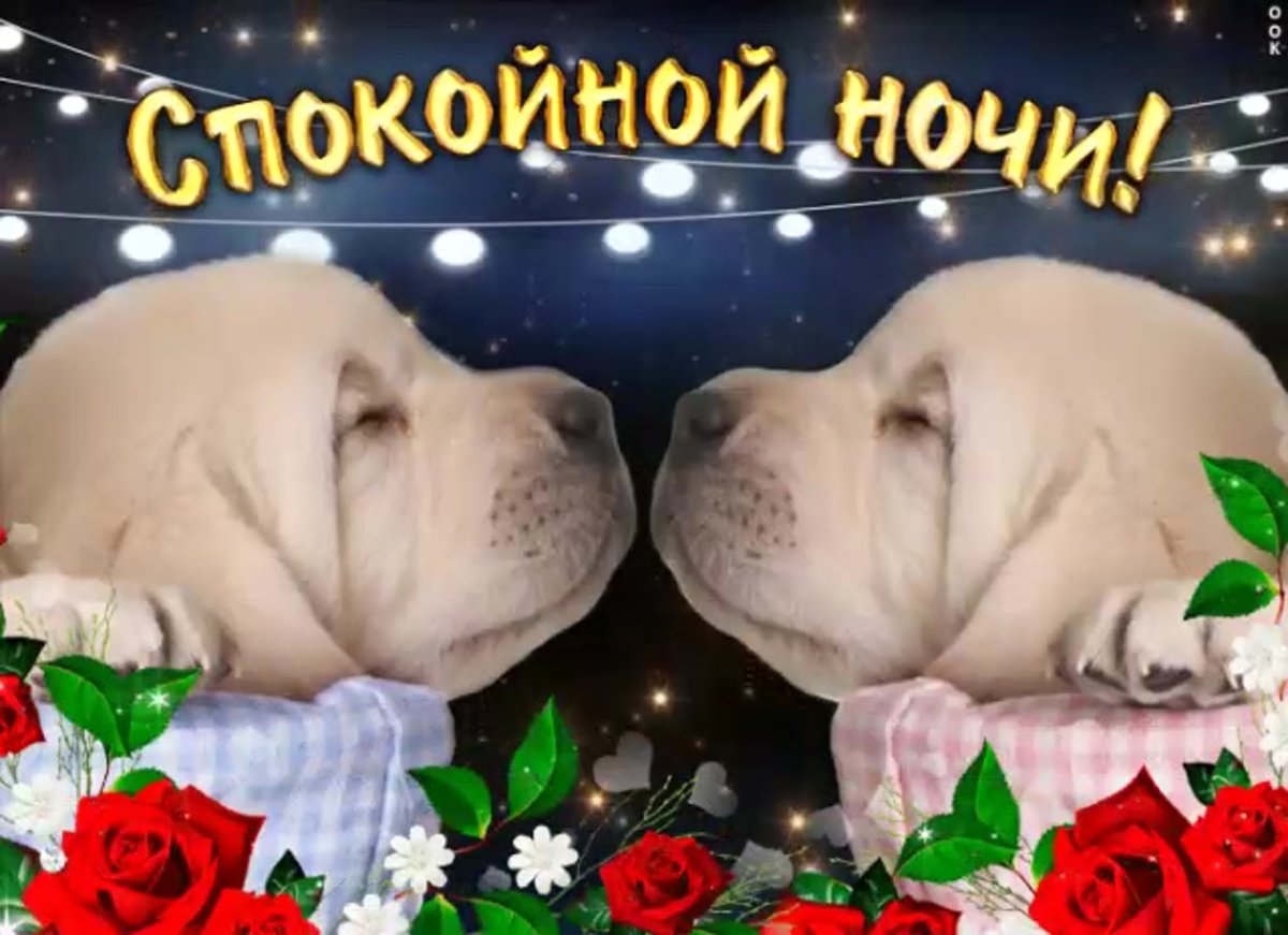 Открытки с пожеланием спокойной ночи