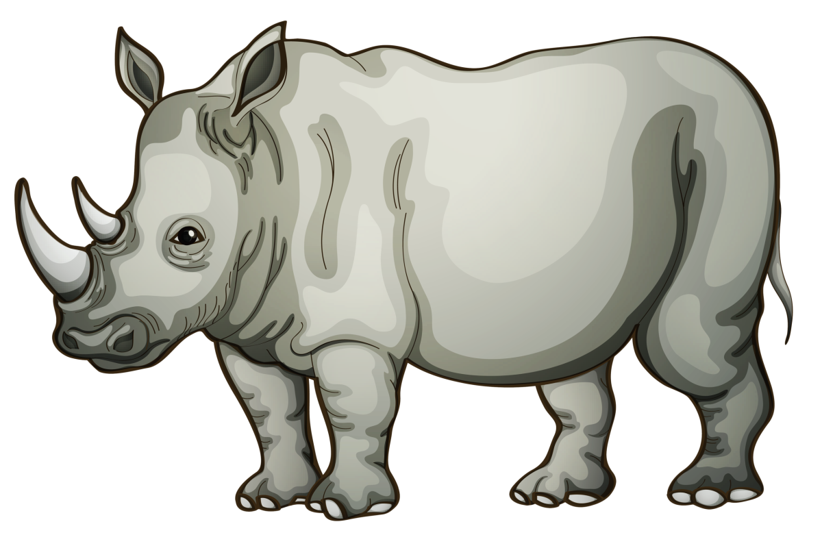 Носорог для дошкольников