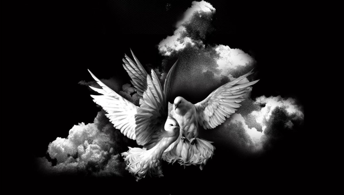 Голуби на памятник