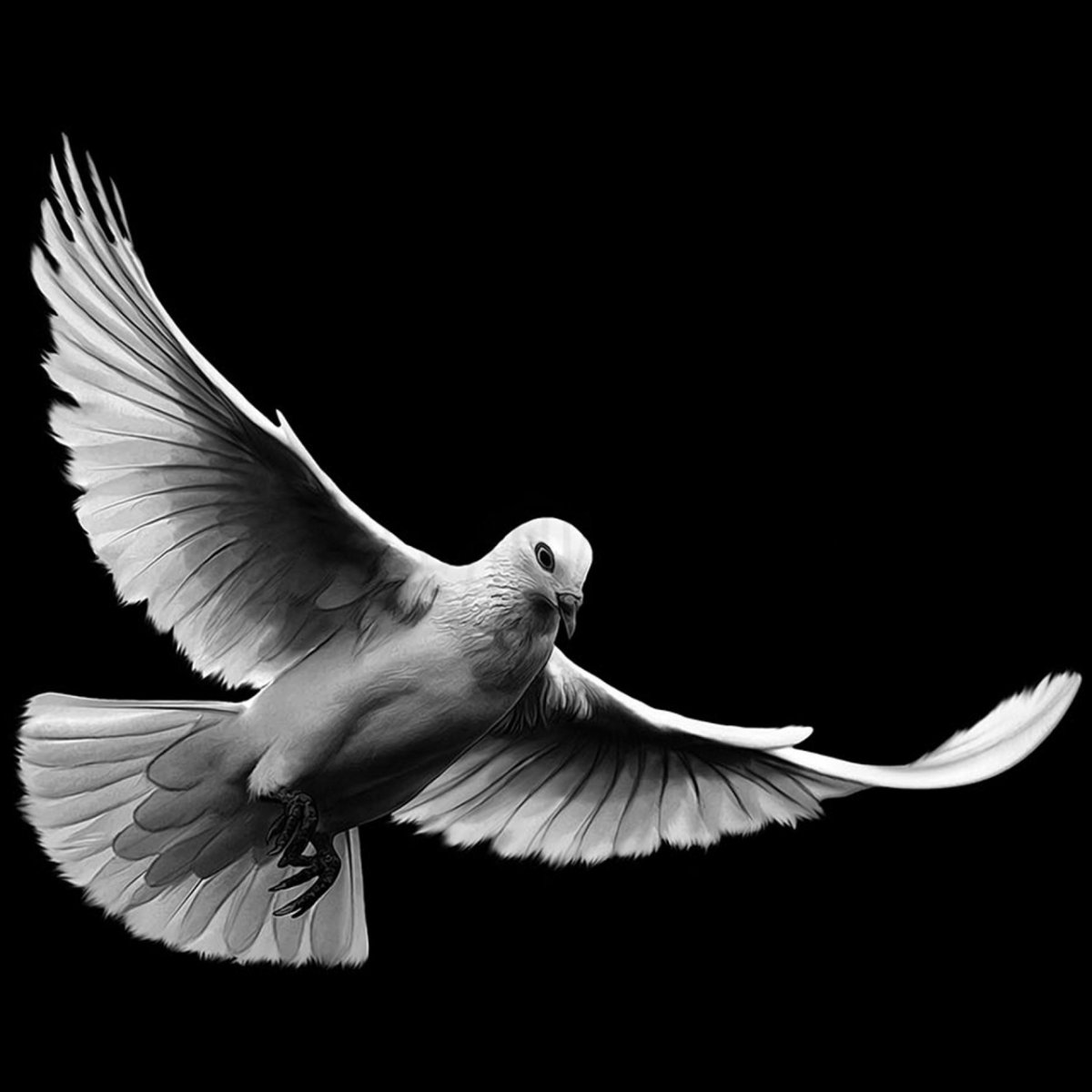 Голуби на обратной стороне памятника