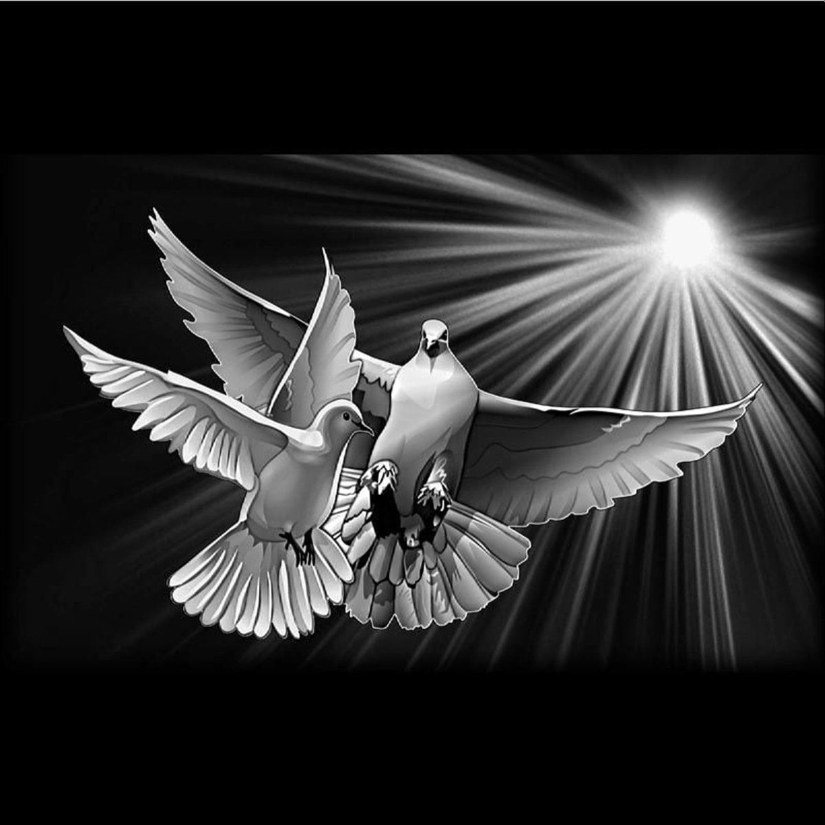 Голубь гравировка