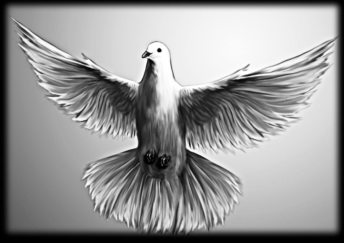 Изображения для гравировки