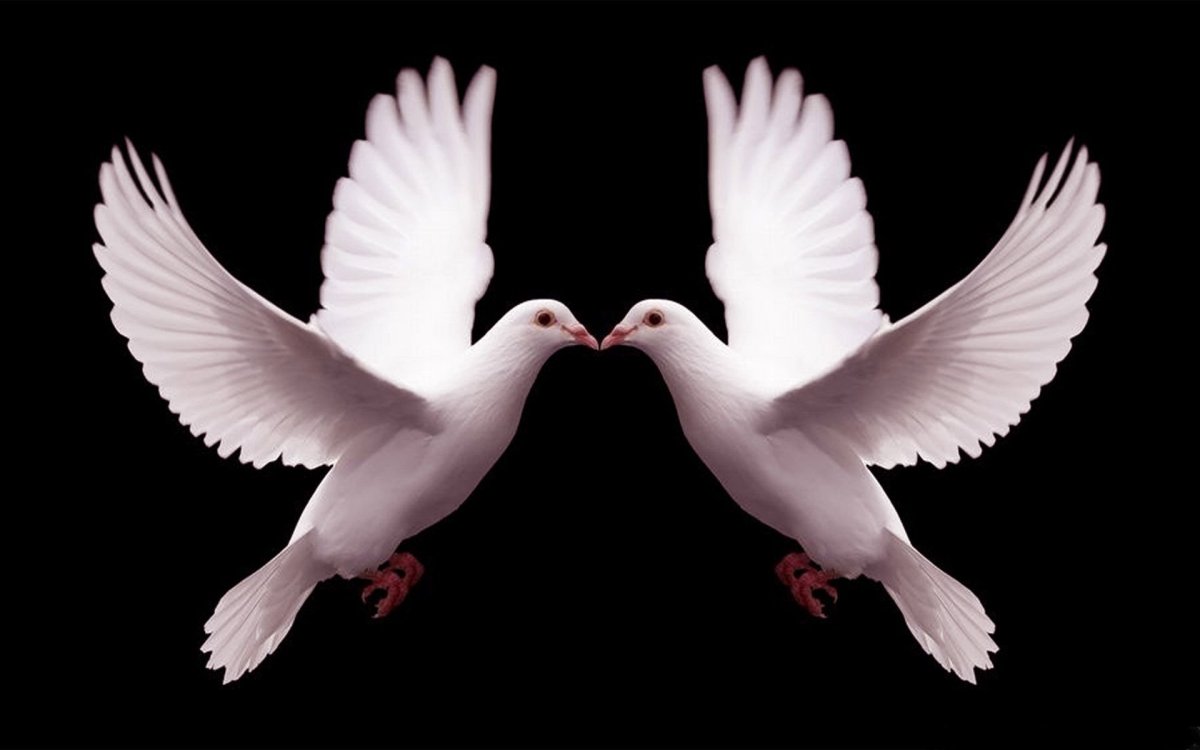 Памятник рисунок