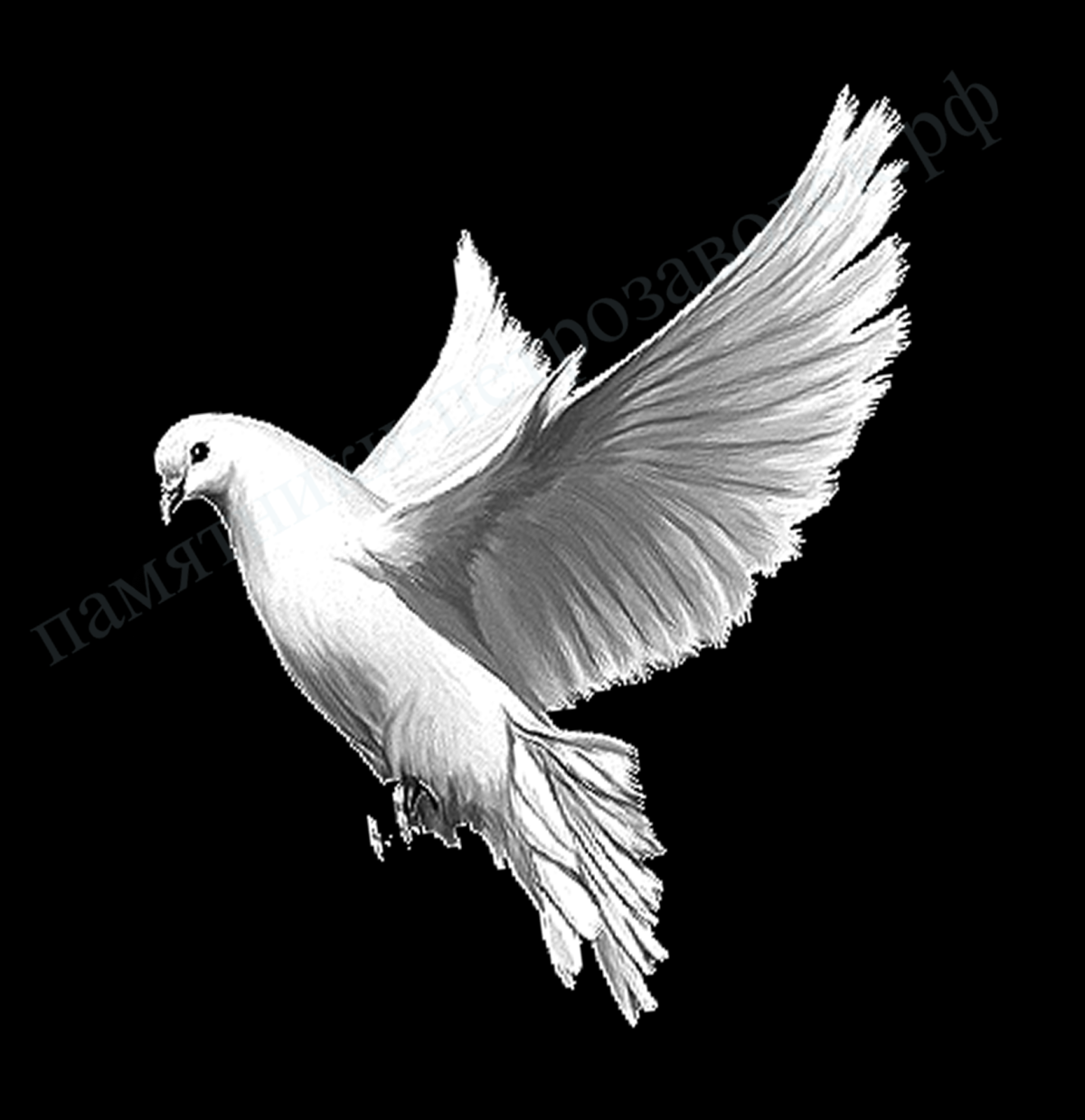 Голубь для гравировки на граните