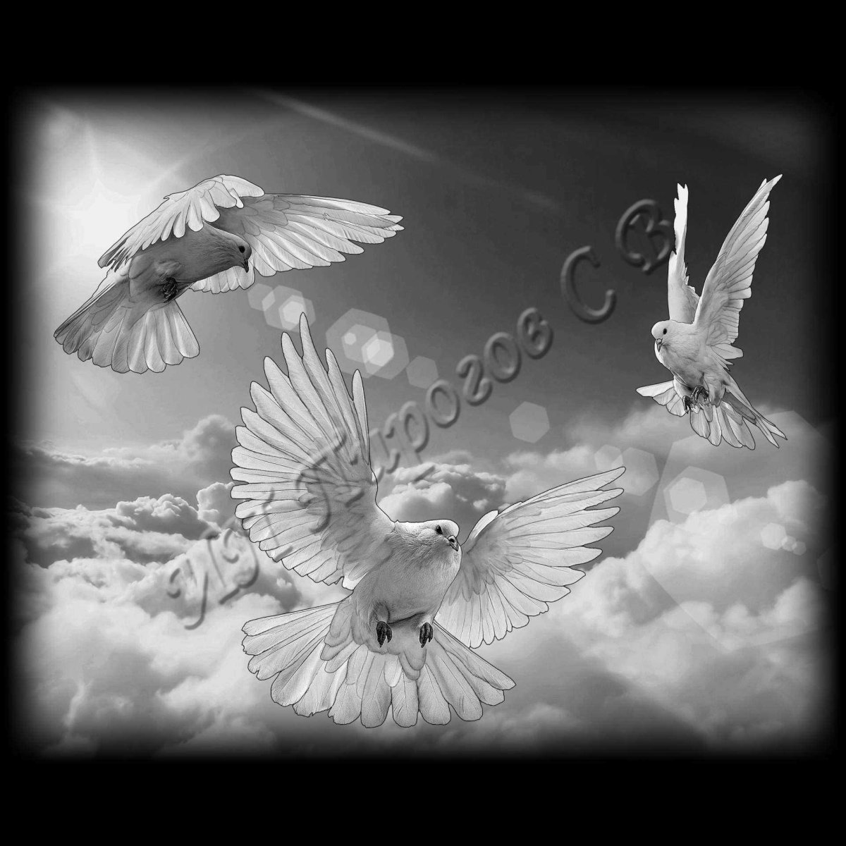 Голуби на памятнике гравировка