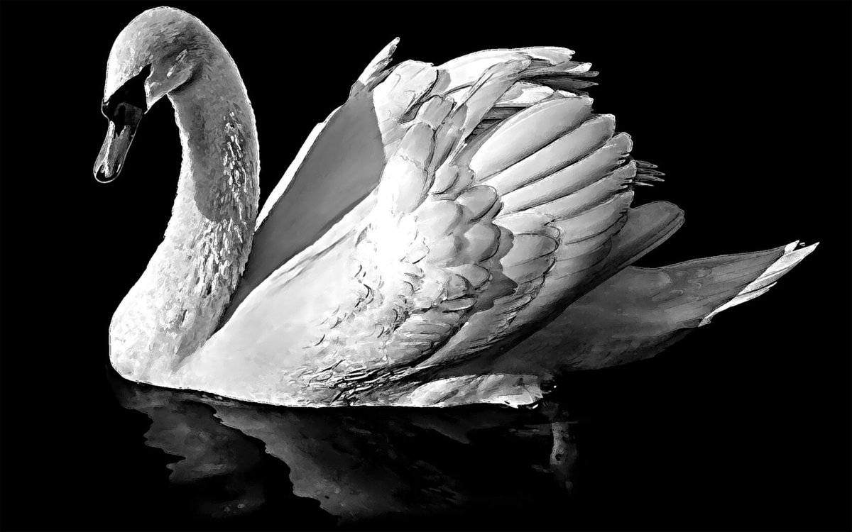 Горизонтальные памятники Обратная сторона