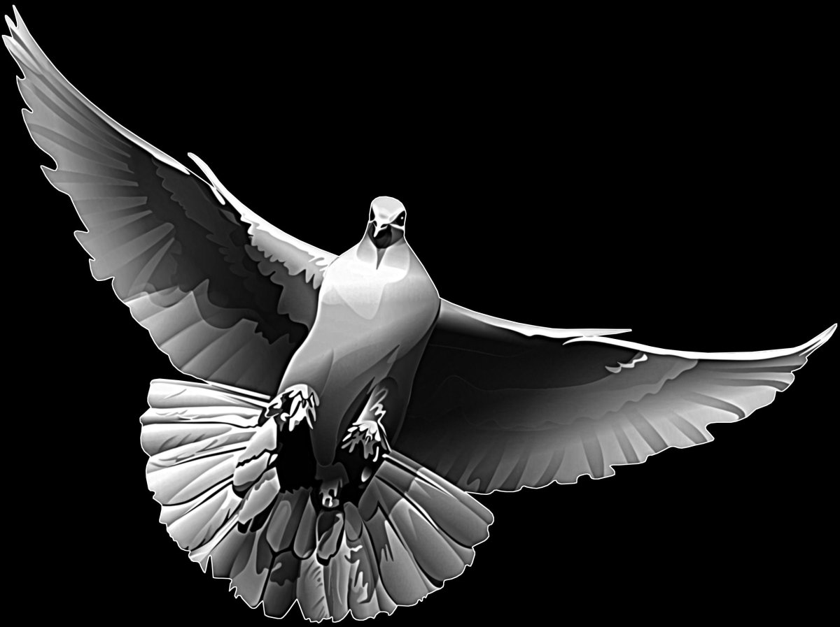Голубь в небе гравировка