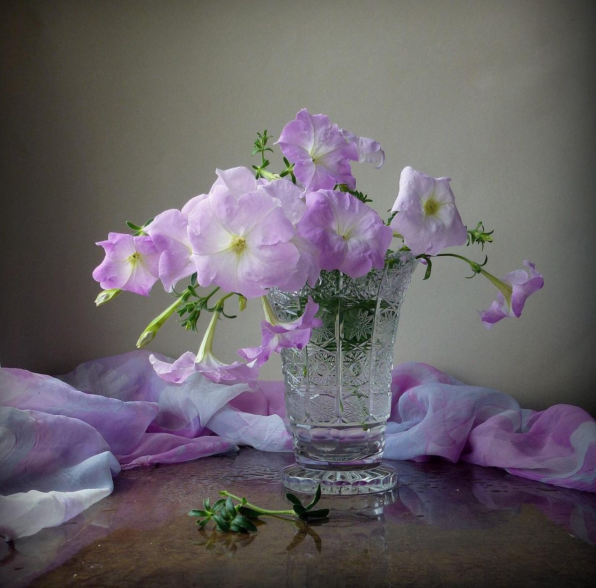 Добрый вечер