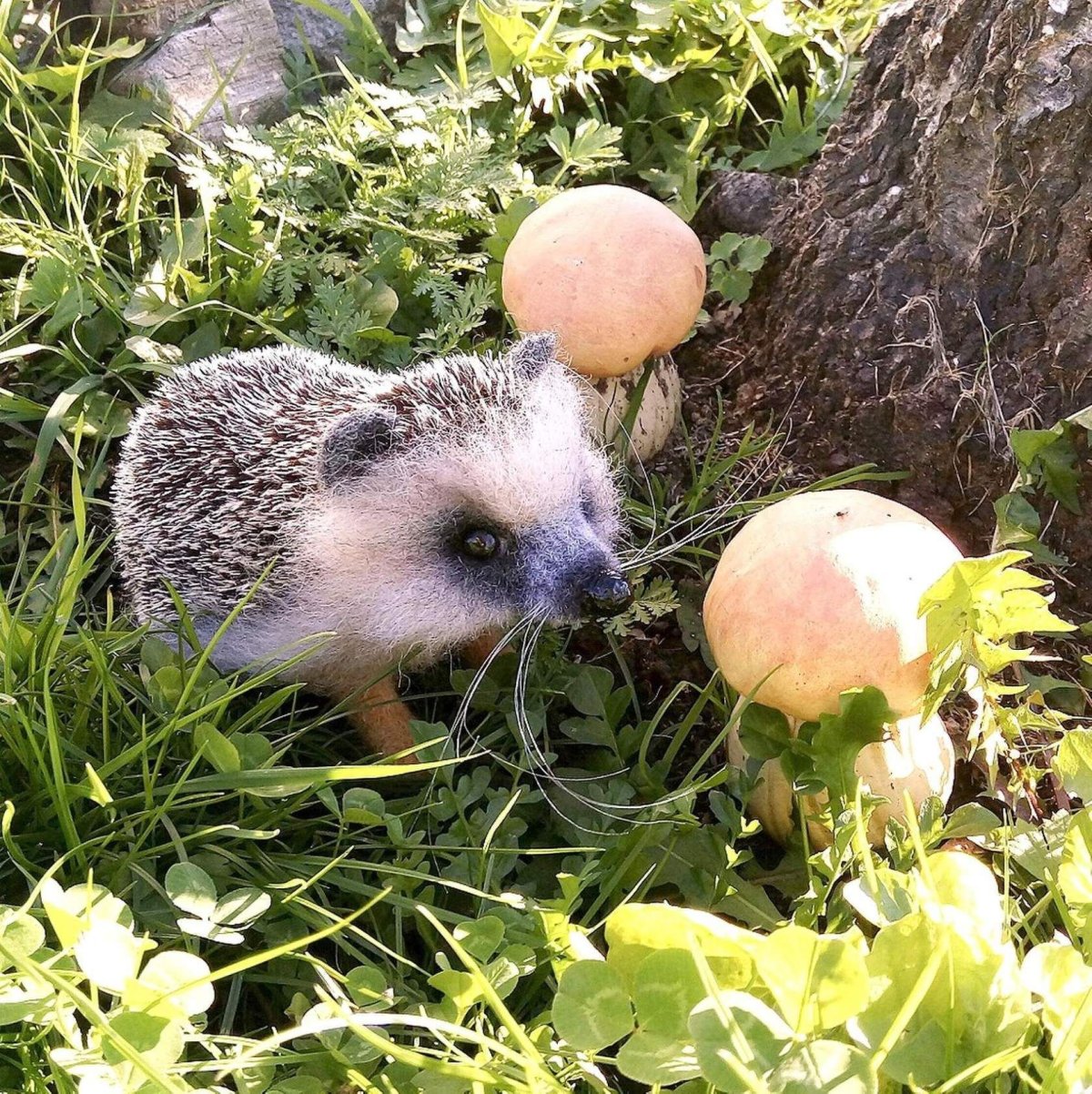 Ежик с грибами