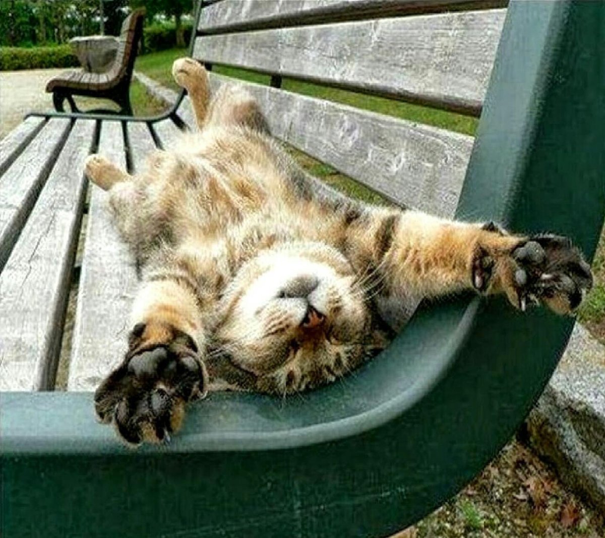 Смешные высказывания про отпуск