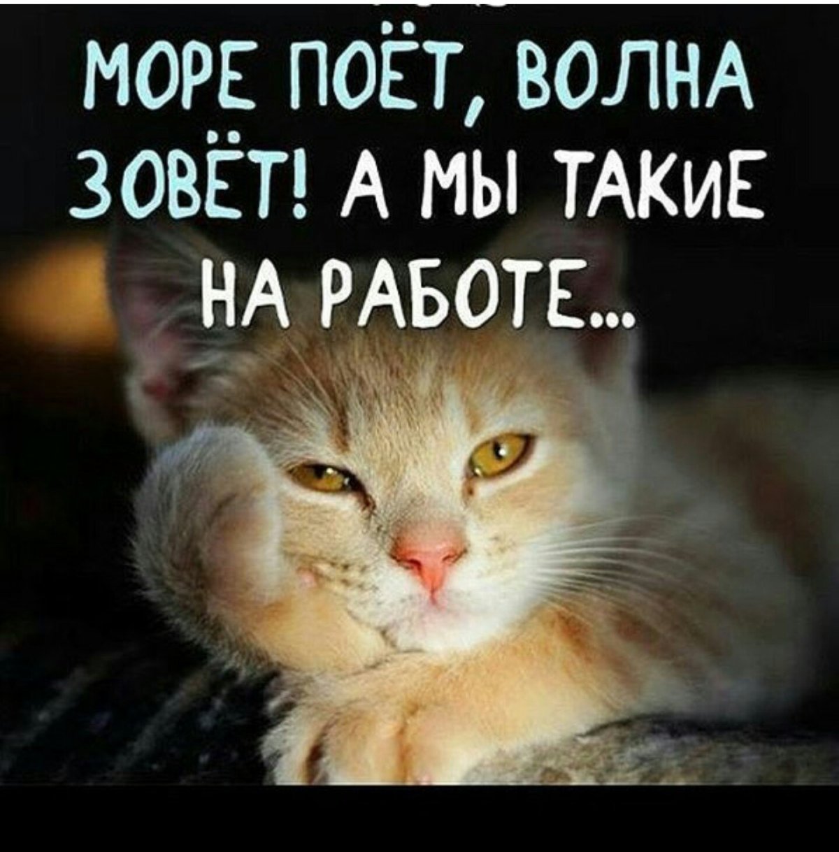 Море зовёт волна поёт а мы такие на работе